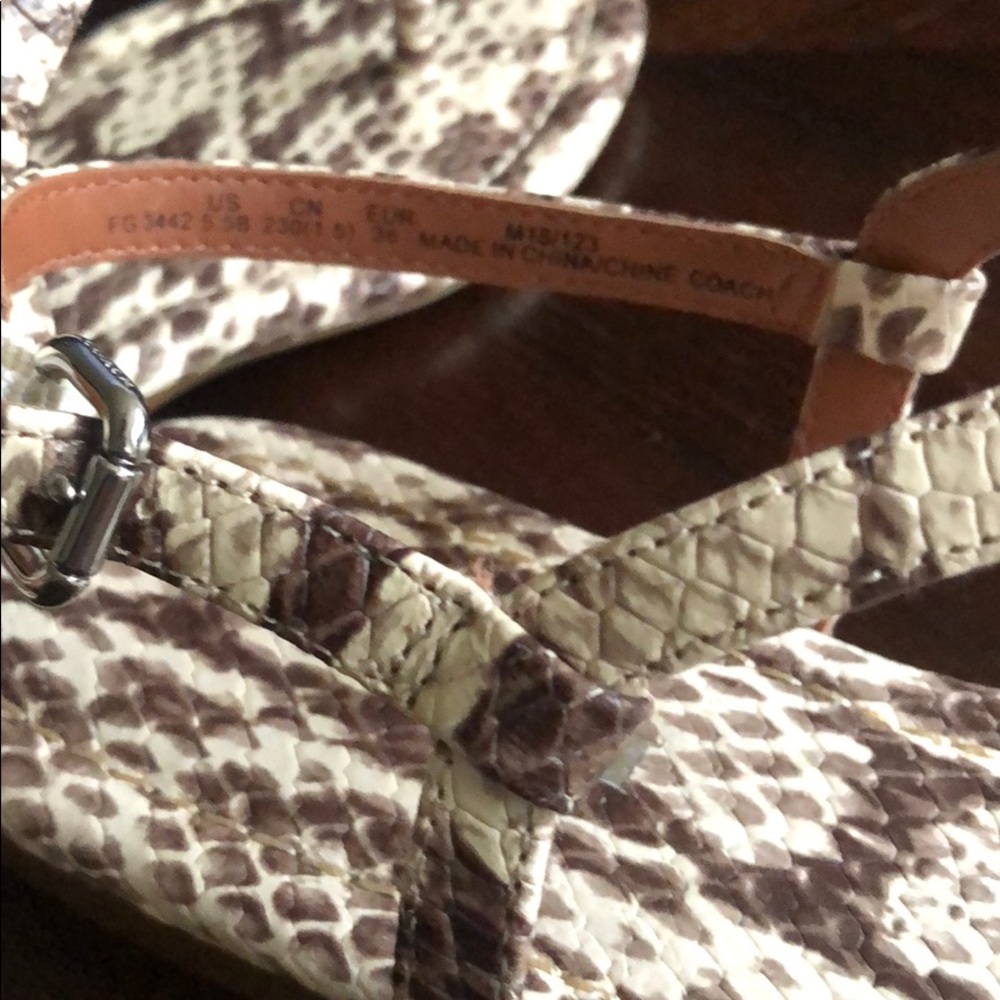 🌟COACH Thong Sandal🌟 - Picture 7 of 9